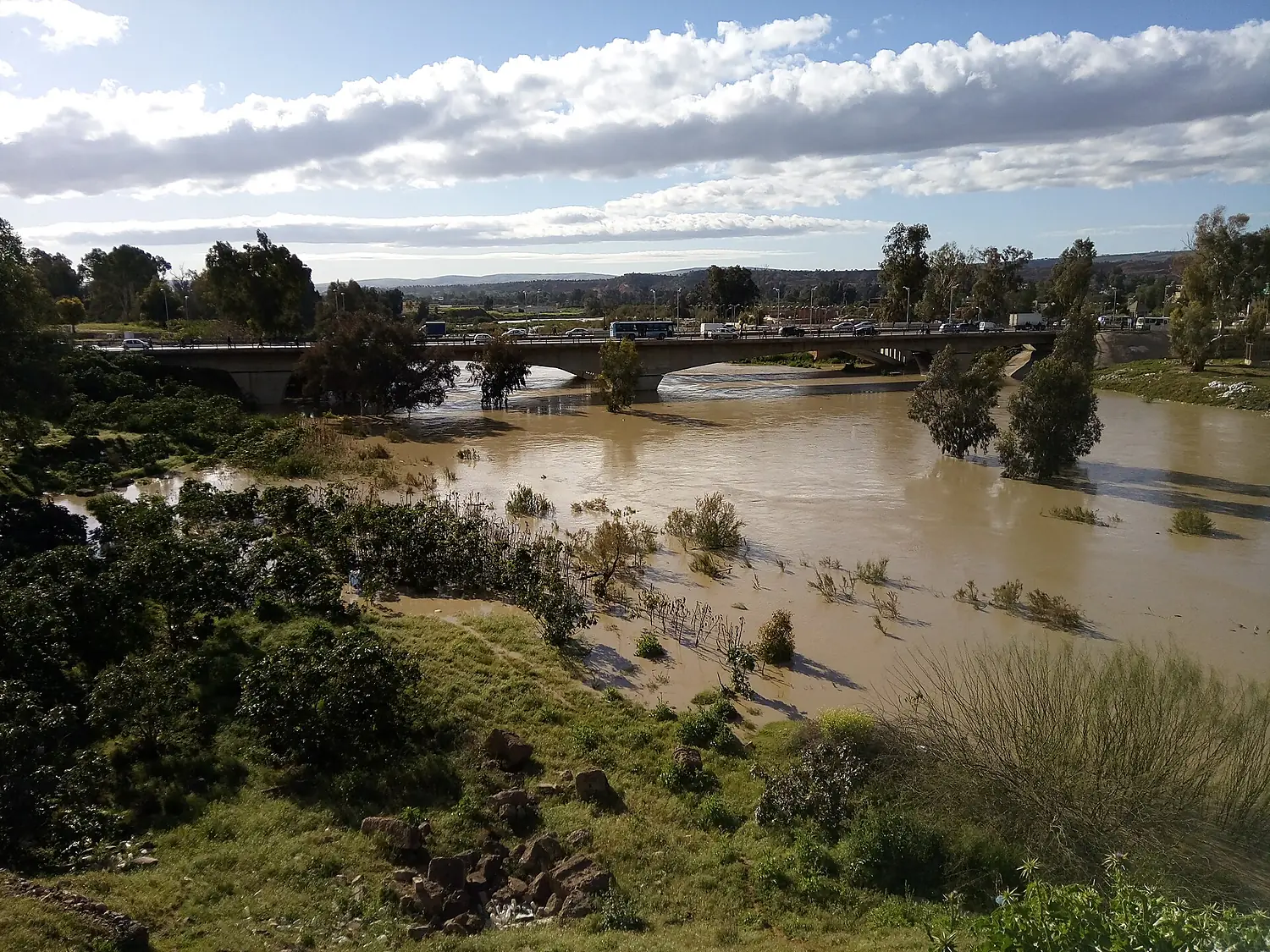 Chelif River bridge