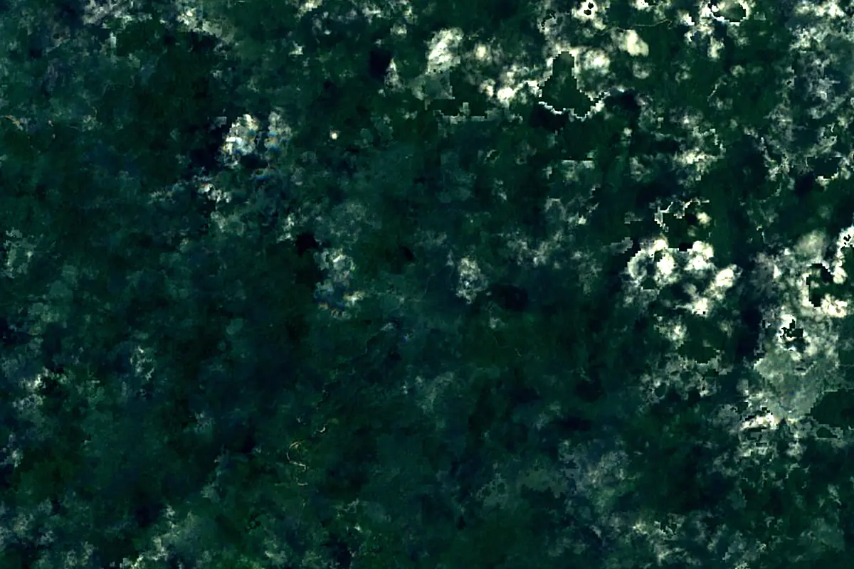 Chepo River: satellite view of the source