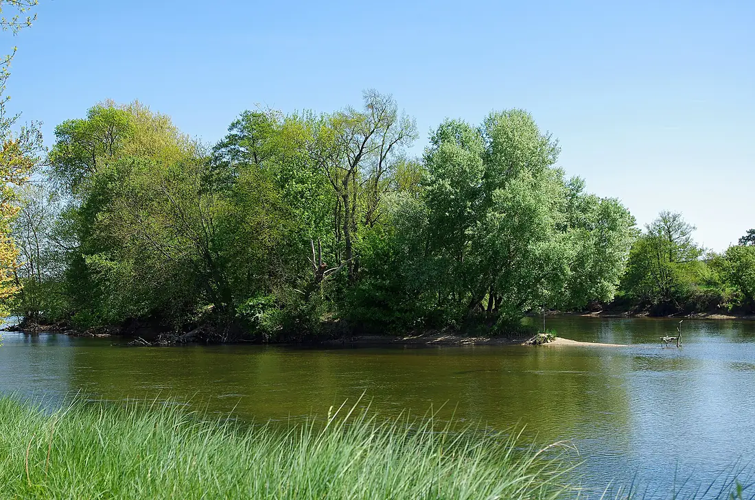Angé (Loir-et-Cher) - 37844998132