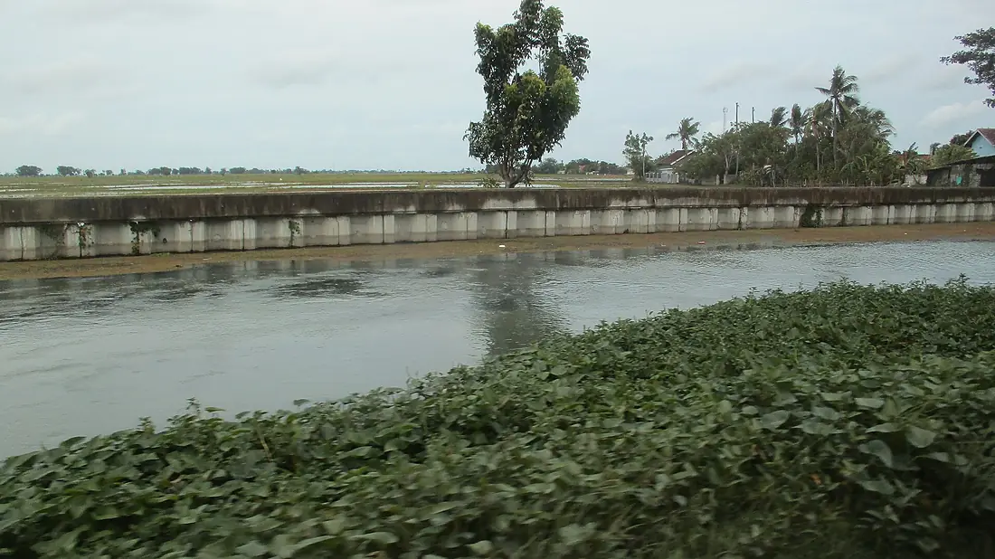 Citarum River in Segaran, Batujaya, Karawang (2025)