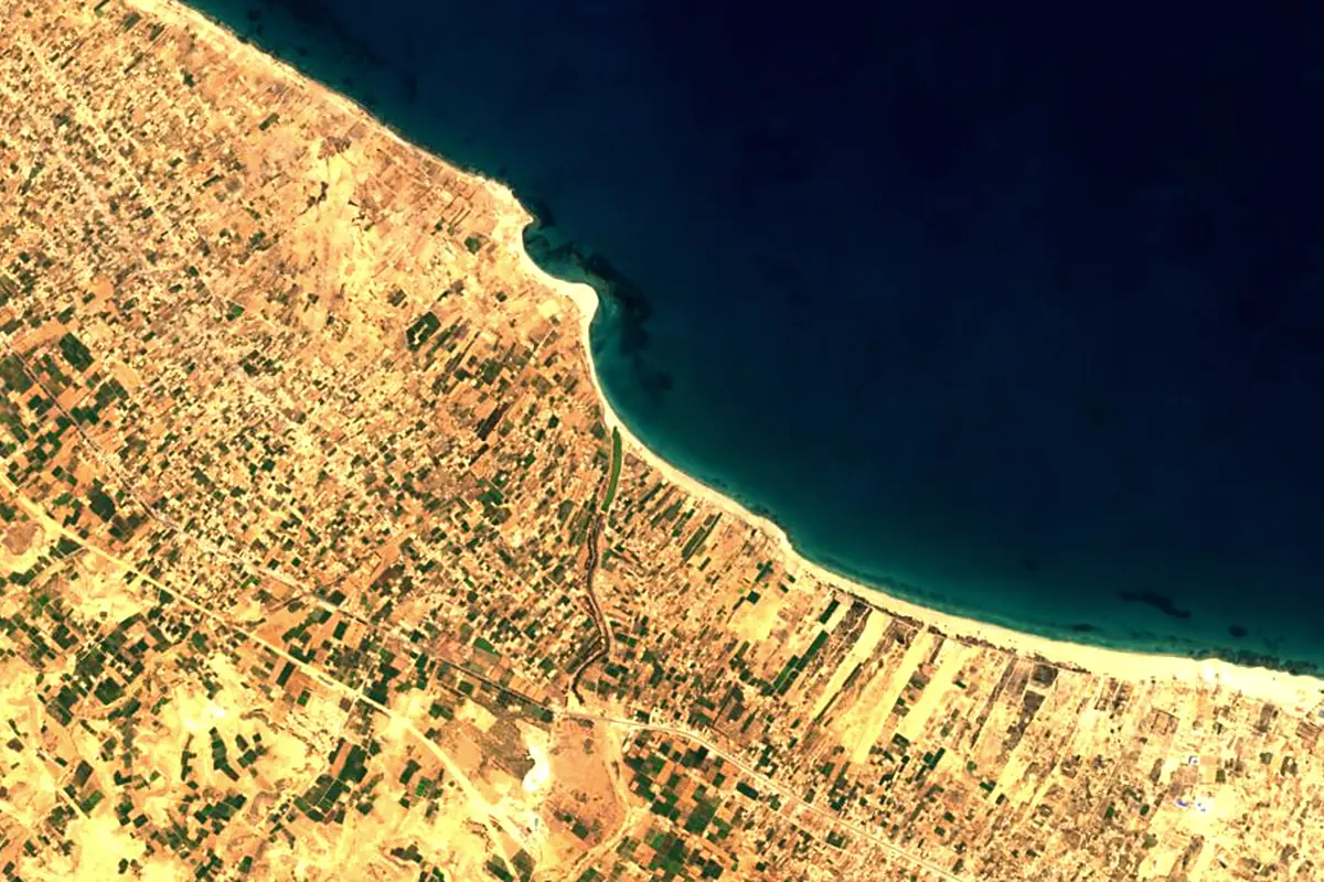 Cinyps: satellite view of the mouth