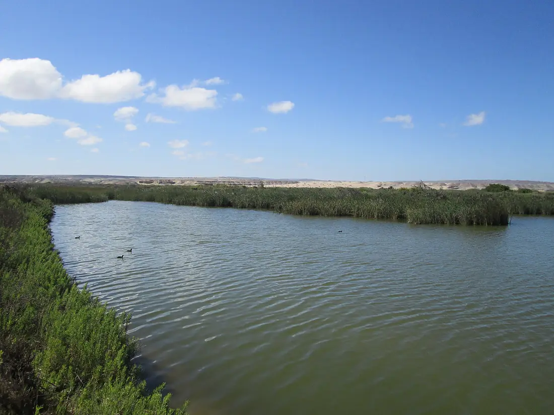 HumedalRioCopiapo1