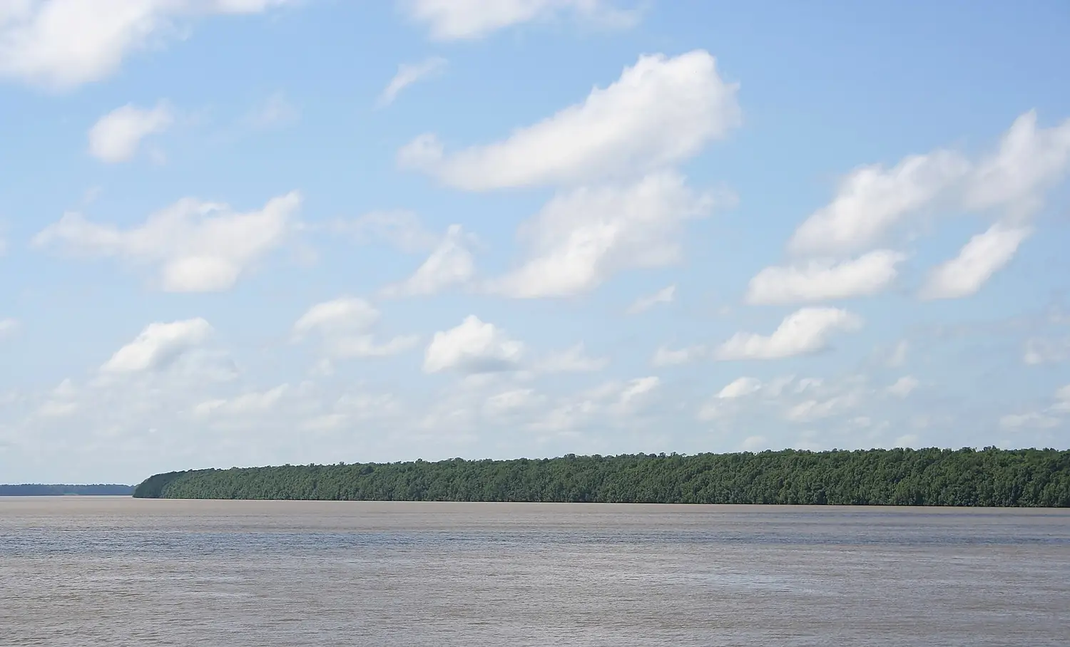 Coppename River 2