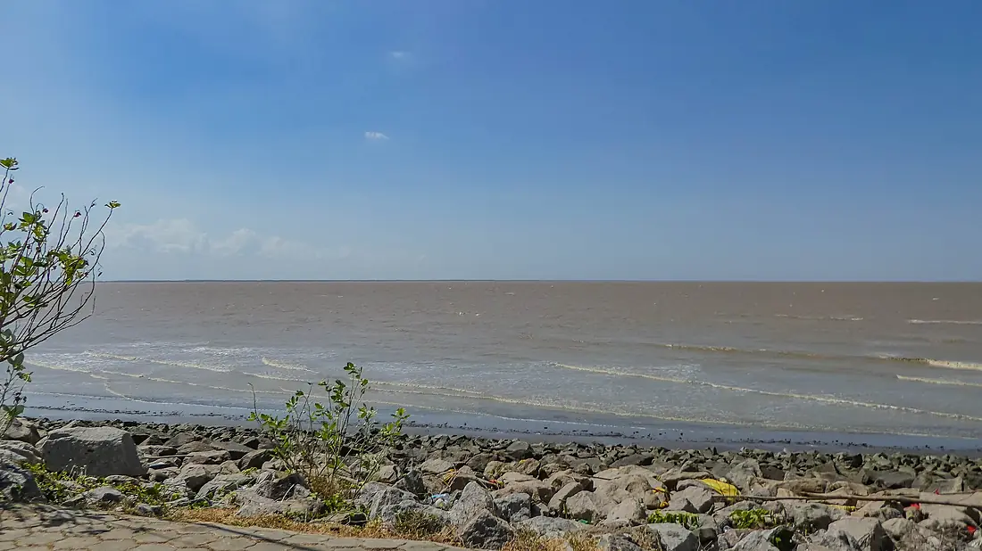 Courantyne shore (30871840430)