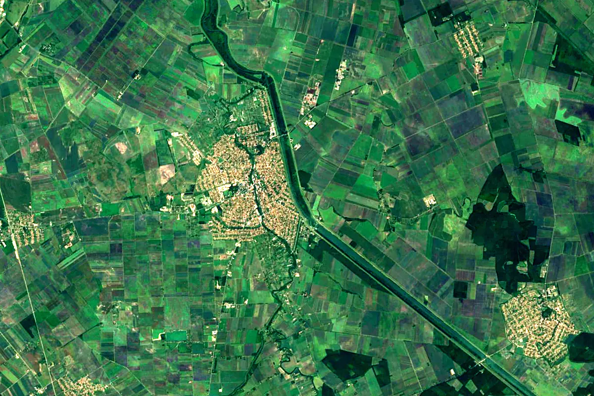 Crișul Alb River: satellite view of the mouth