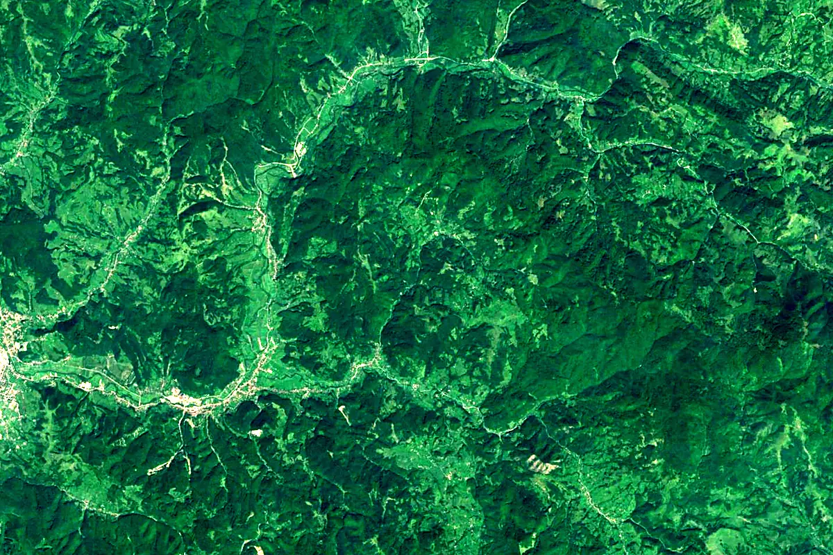 Crișul Alb River: satellite view of the source