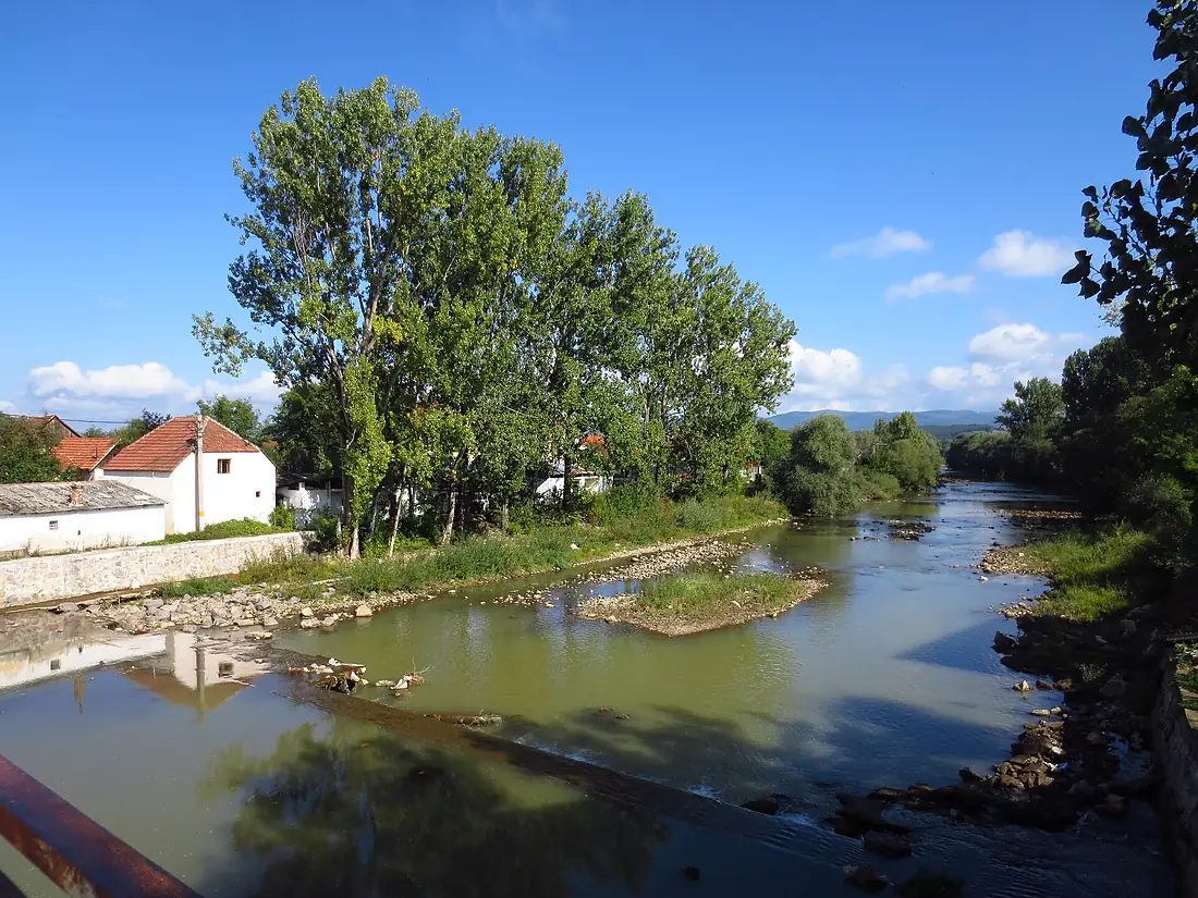 Crișul Repede, Vadu Crișului