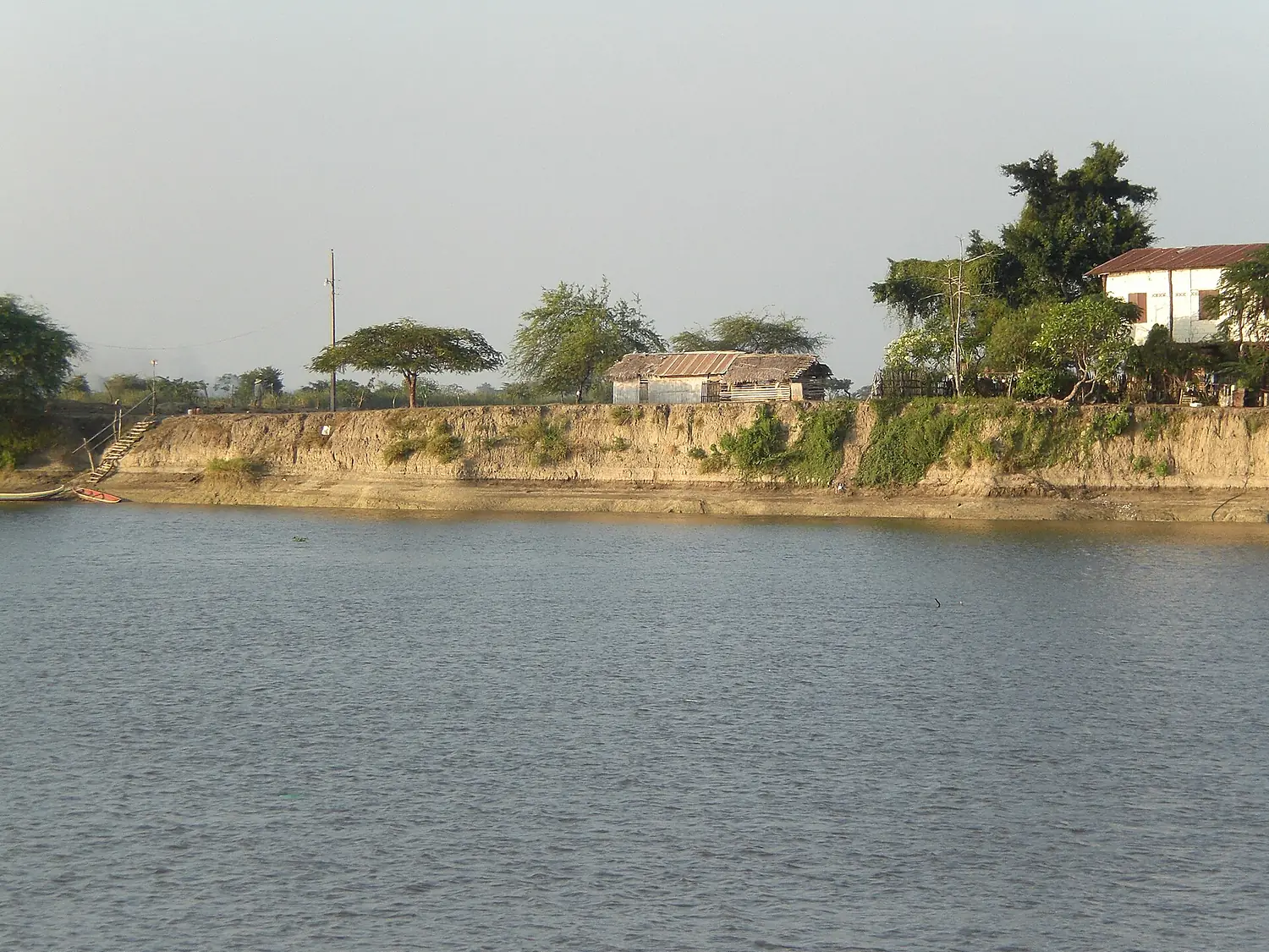 Daule River