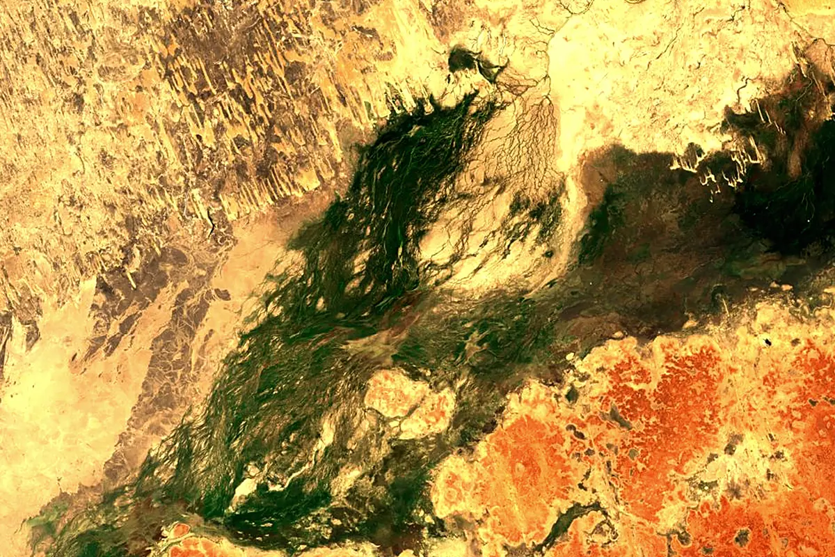 Diamantina River: satellite view of the mouth