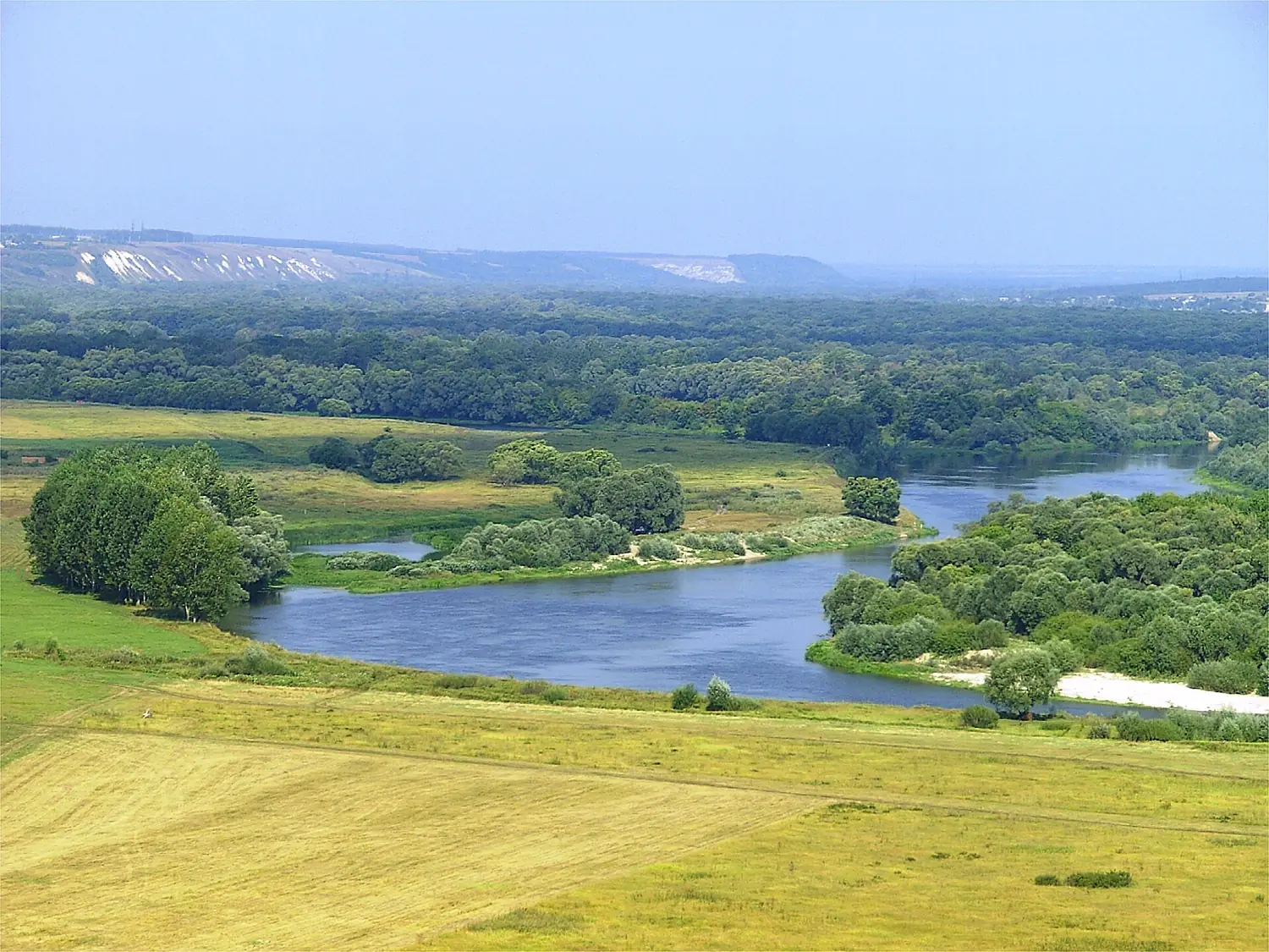 Don (Voronezh Oblast)