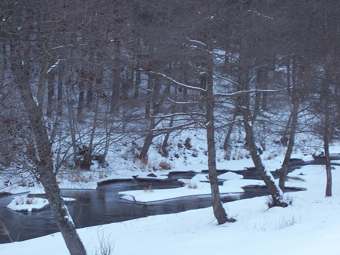 Dospat River