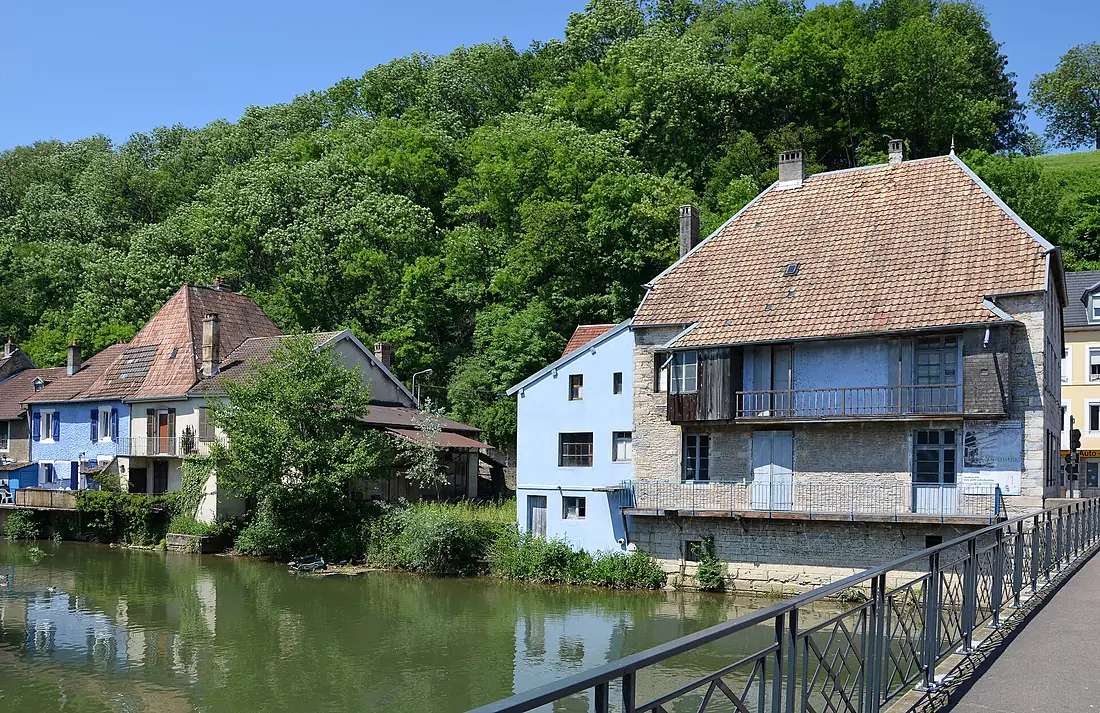 Bras du Doubs à l'Isle sur le Doubs DSC 0812