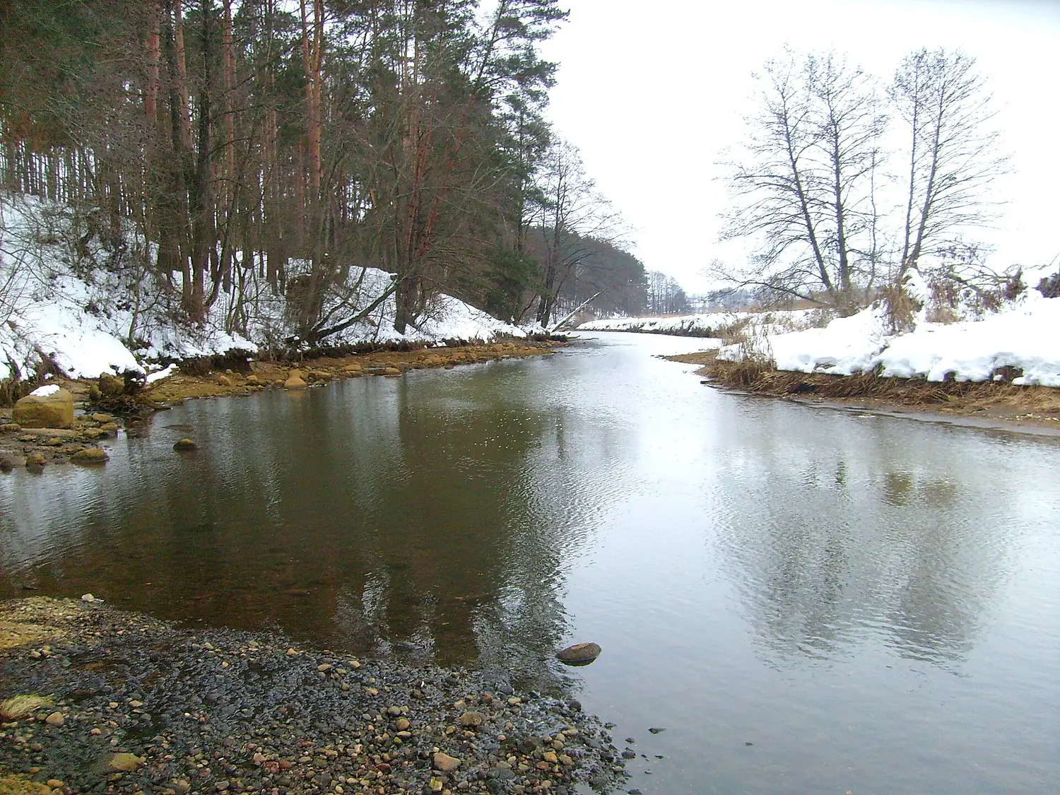 Drut River