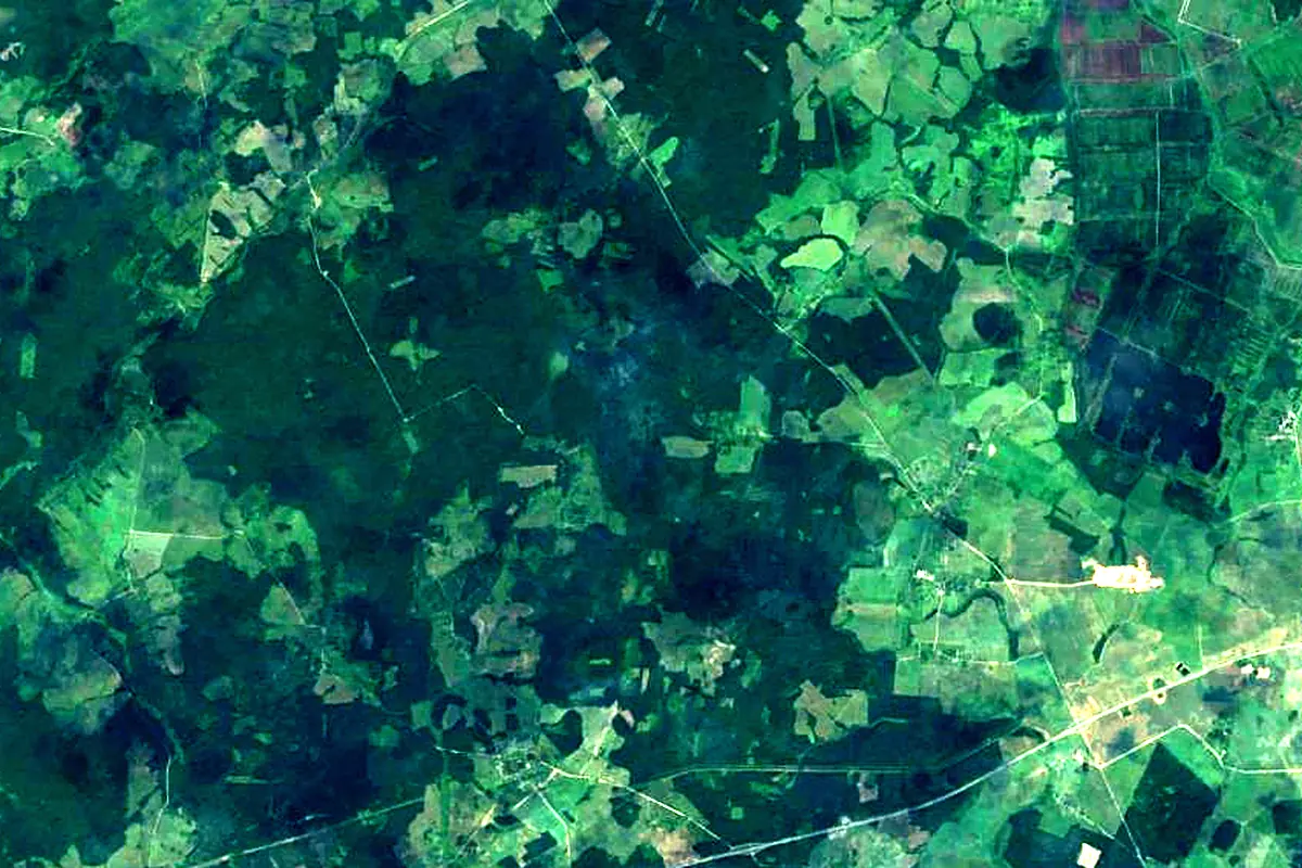 Drut River: satellite view of the source