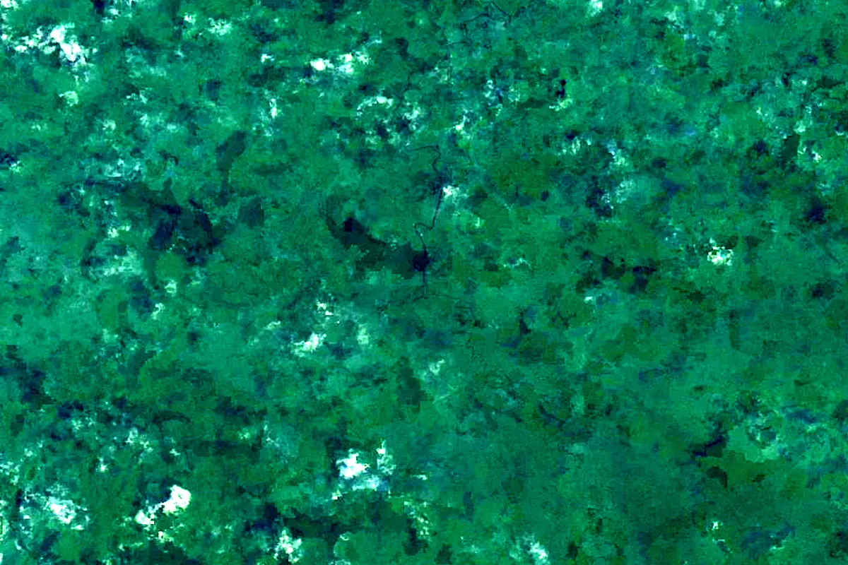 Essequibo River: satellite view of the source