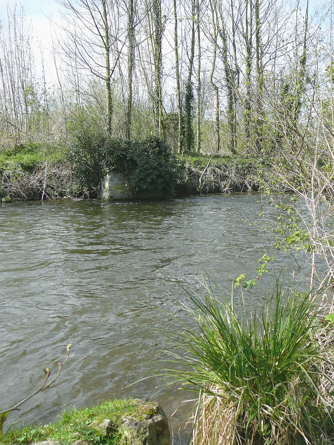 Essonne-rivière