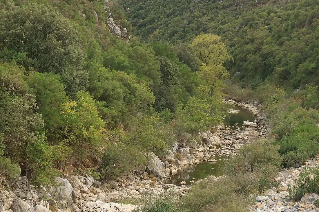 Eurotas River despite the heavy rains (50841919022)