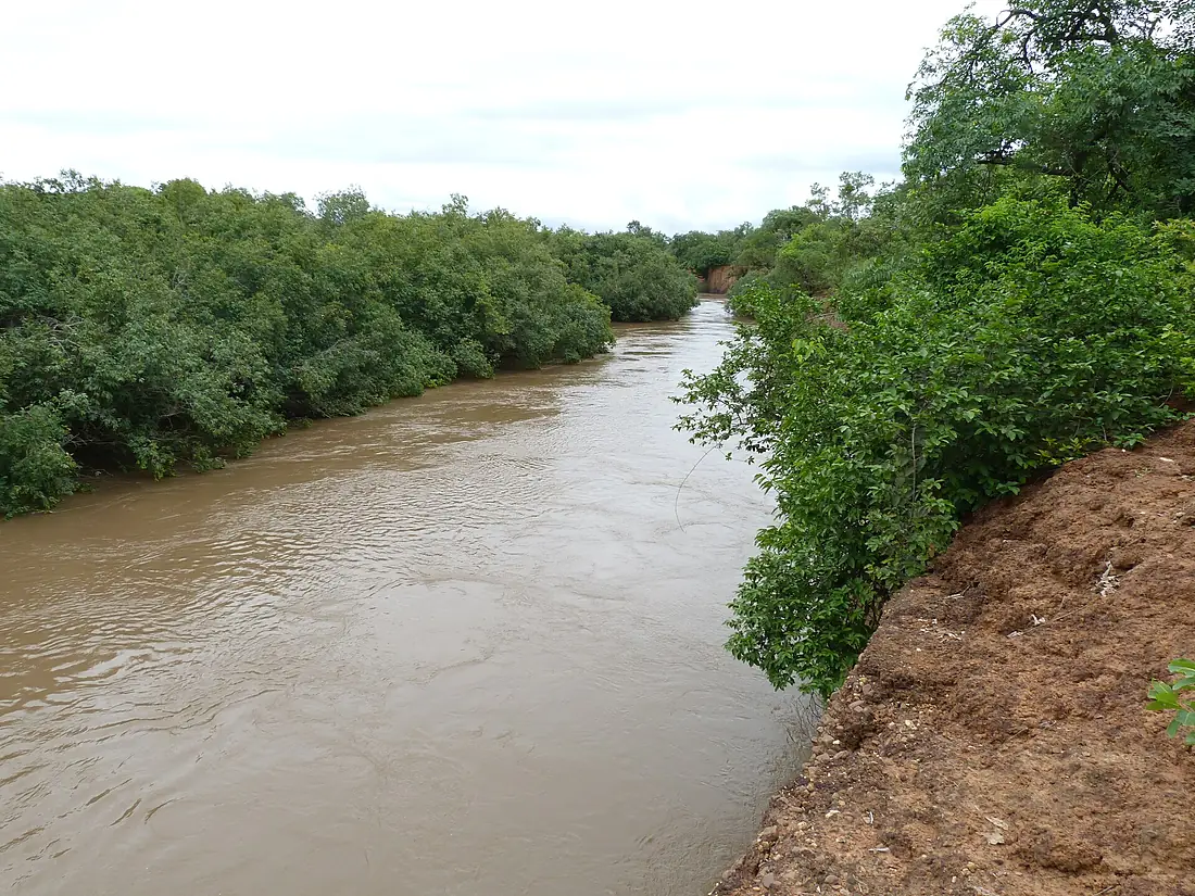Forested island in the Faleme River