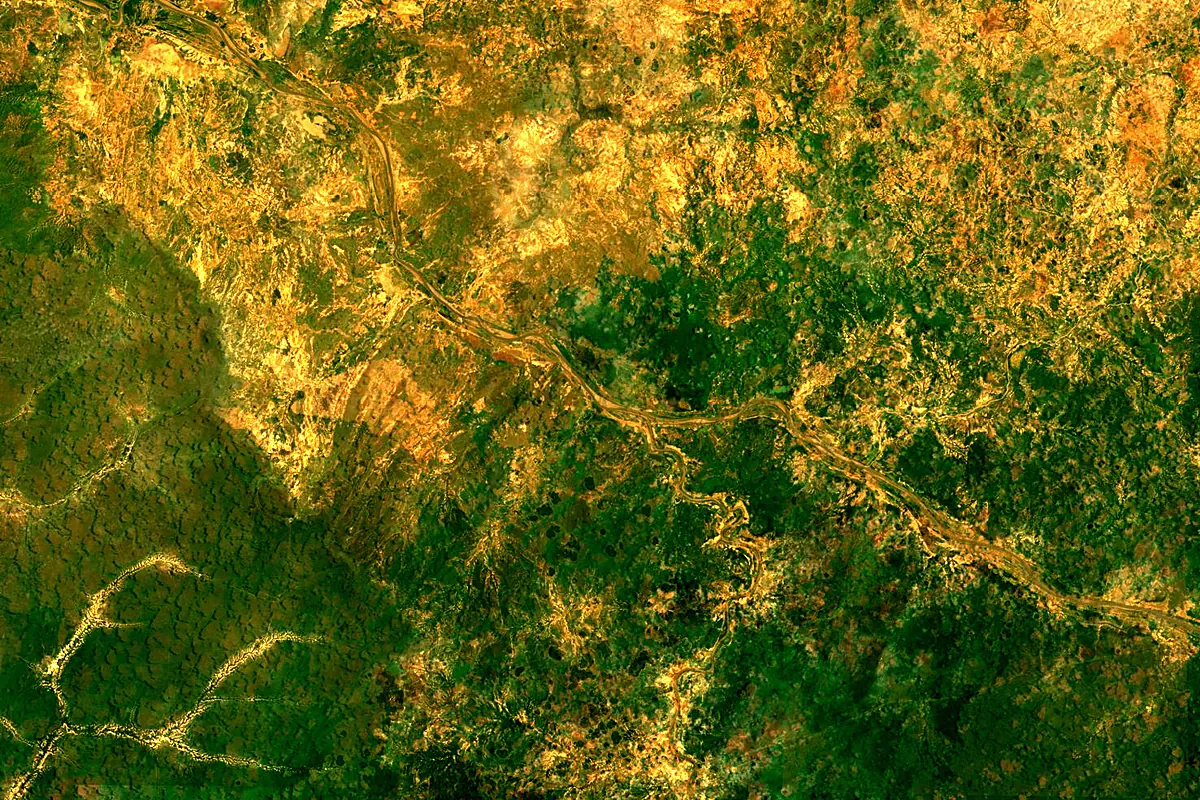 Falémé River: satellite view of the mouth