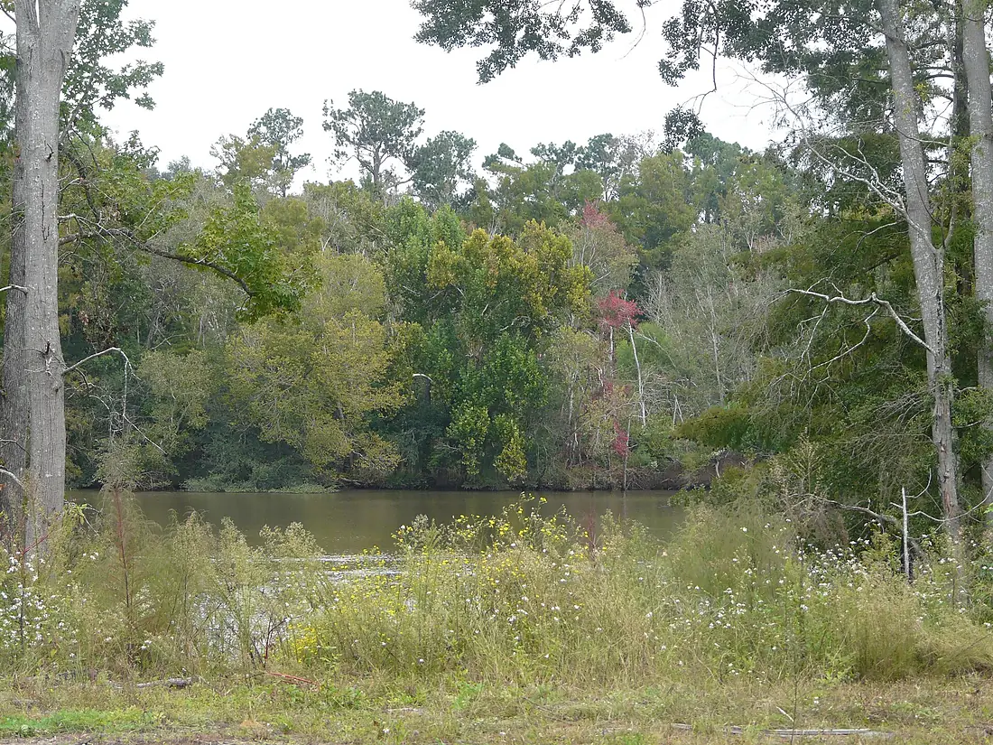 Bainbridge Flint River view Oct 4 2020