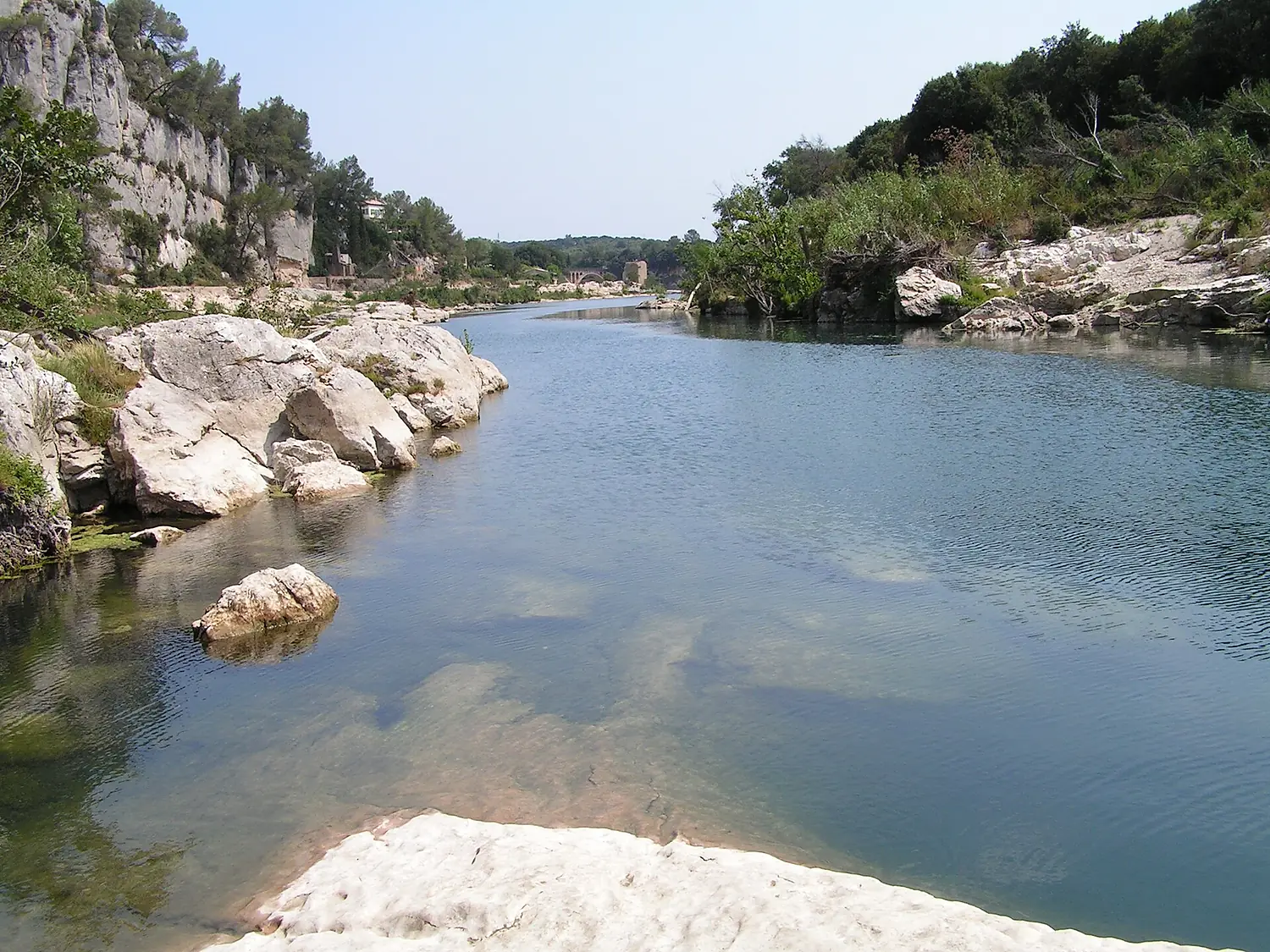 Gardon at Colias