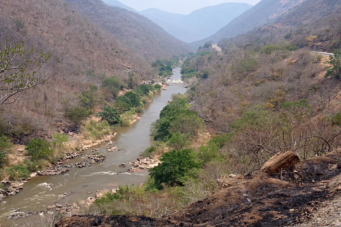 Great Ruaha, Udzungwa
