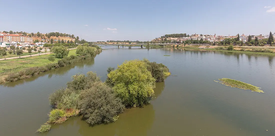 Puente de la Autonomía sobre el río Guadiana, Badajoz, España, 2020-07-22, DD 94