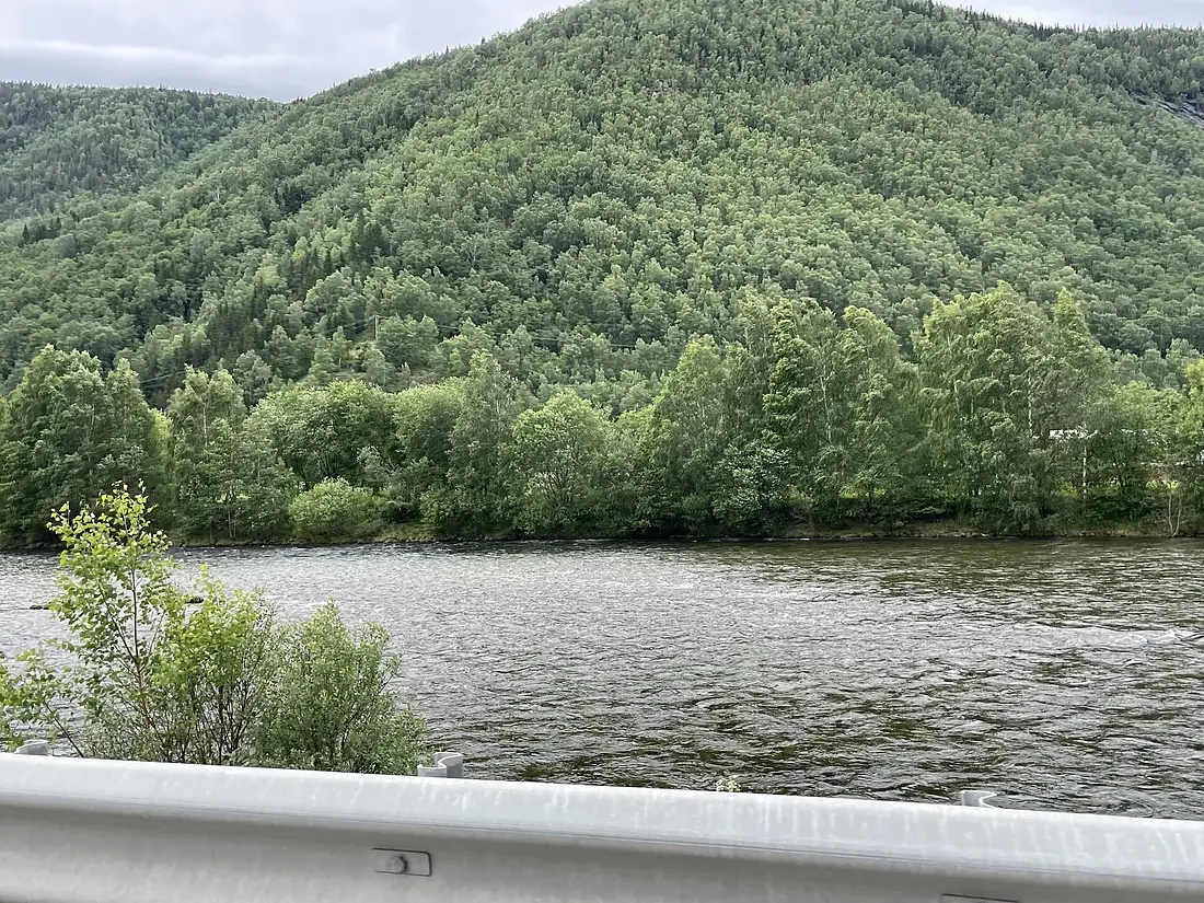 Gudbrandsdalslågen nord for Otta, Sel kommune (2)