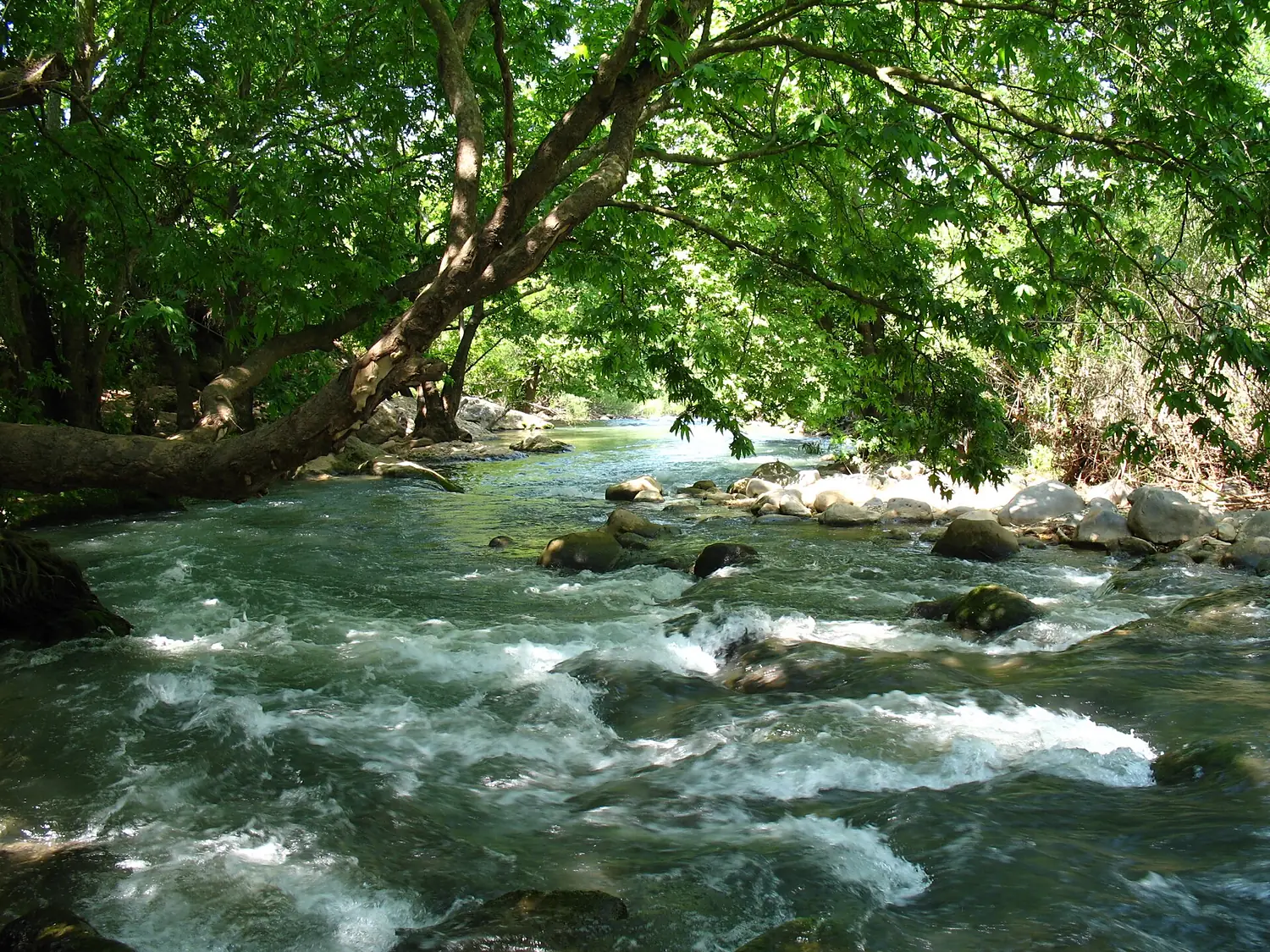 Hazbani