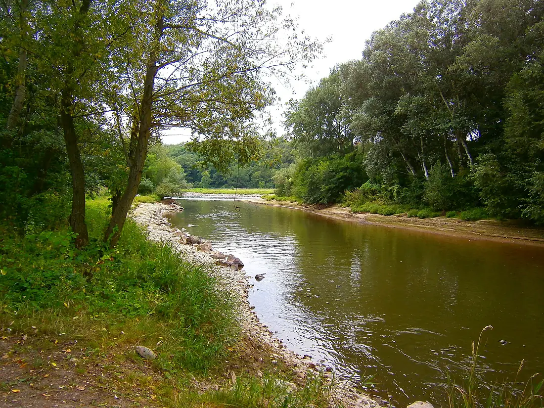 Hron pri meste Tlmače Hron at the town of Tlmače (August 2011)