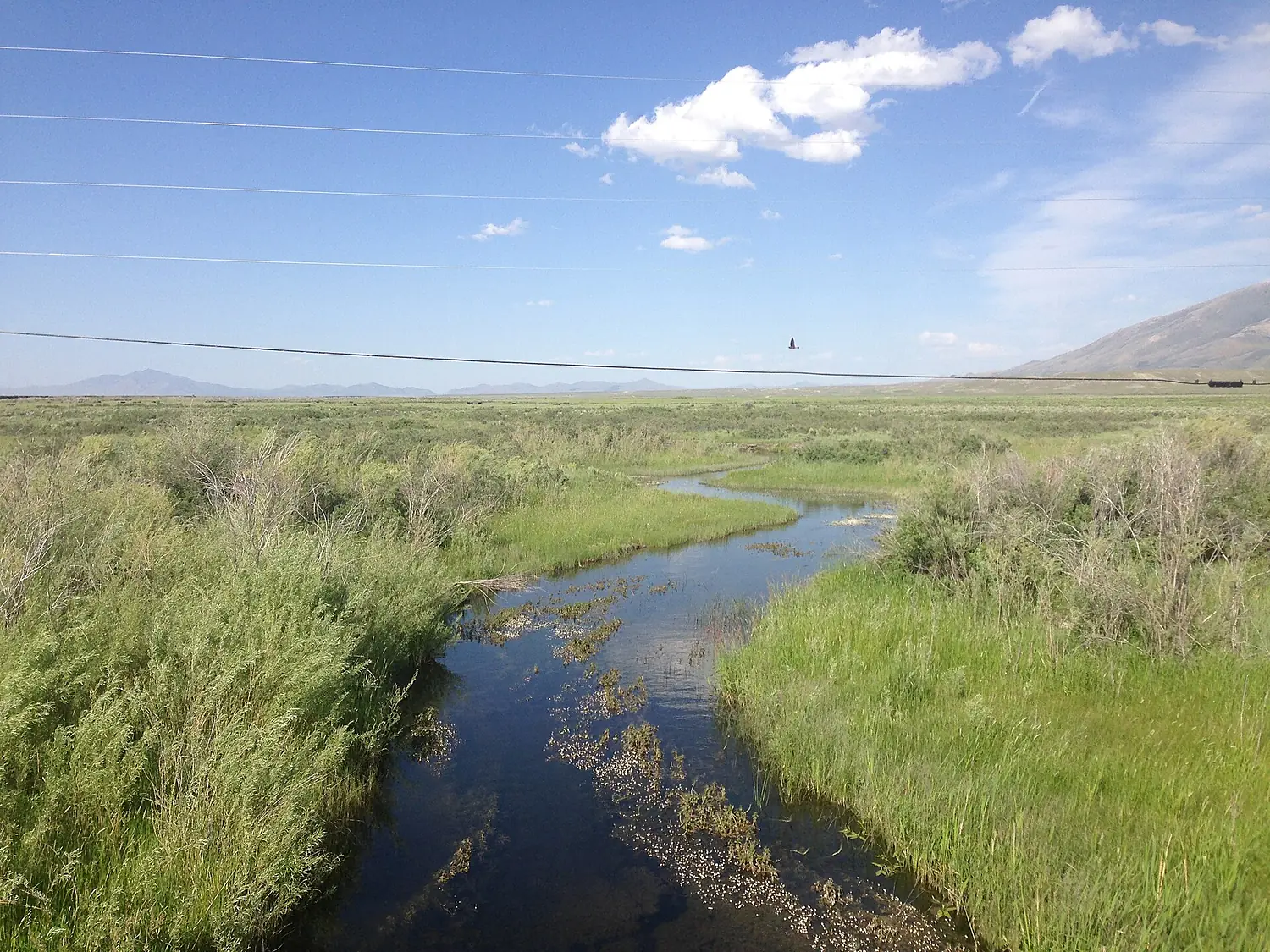 2014-06-10 16 36 43 View up the Humboldt River from Nevada State Route 230 (Starr Valley Road) in Deeth, Nevada