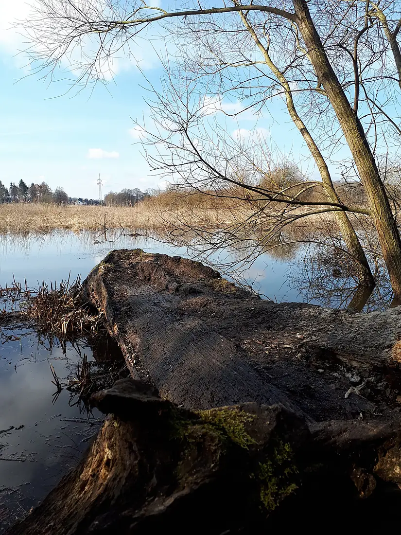 20180402 104045 Ilmenau bei Deutsch Evern Landschaftsschutzgebiet