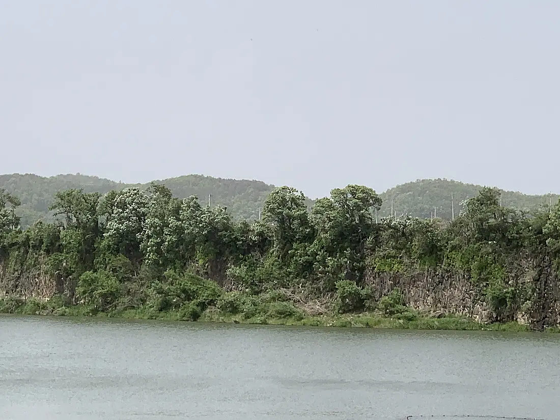 20210508 Imjin River 001