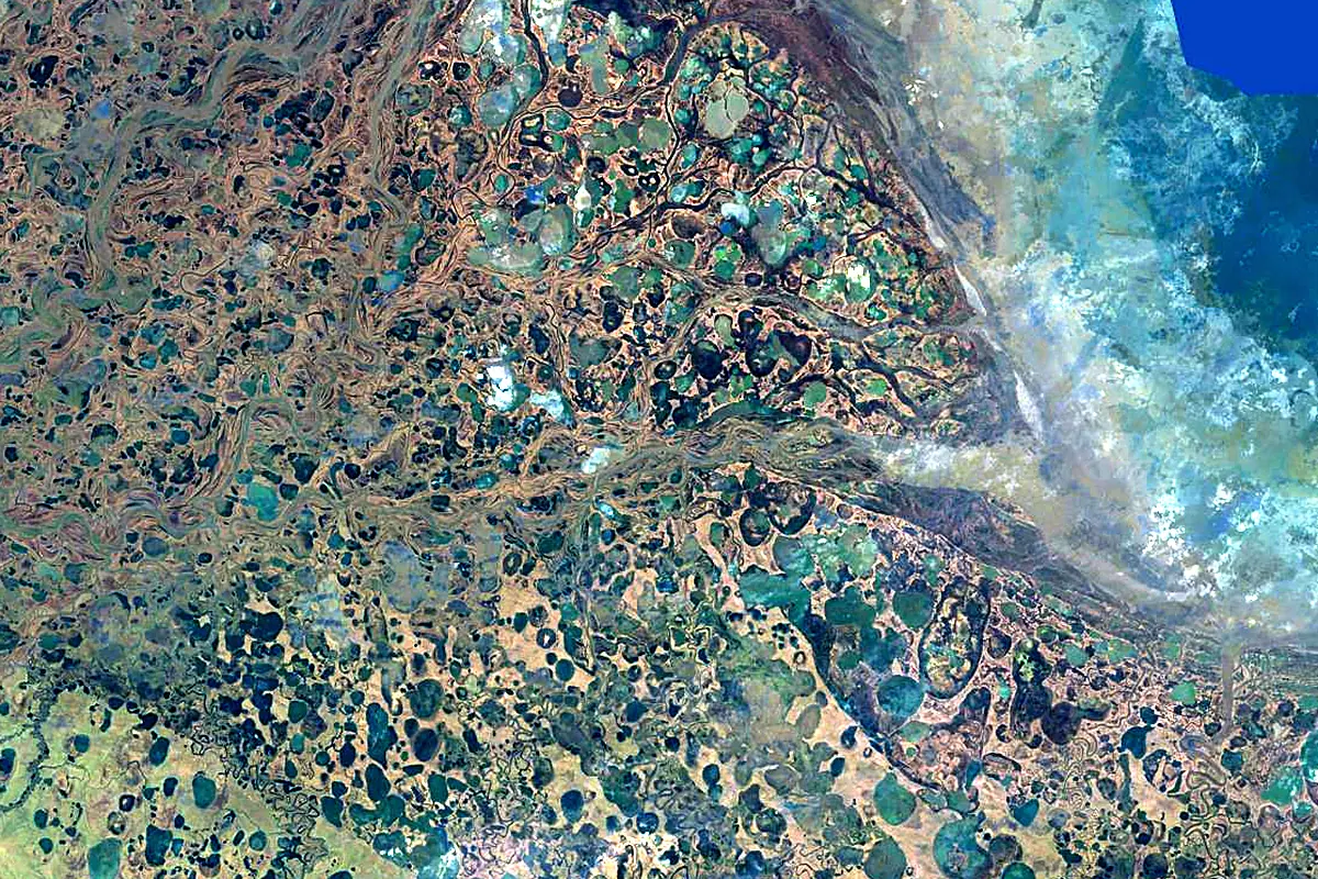 Indigirka: satellite view of the mouth