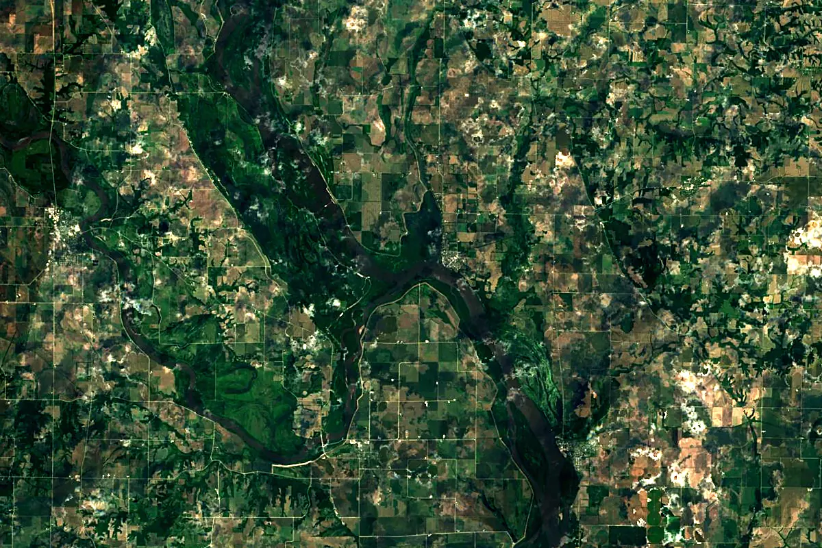 Iowa River: satellite view of the mouth