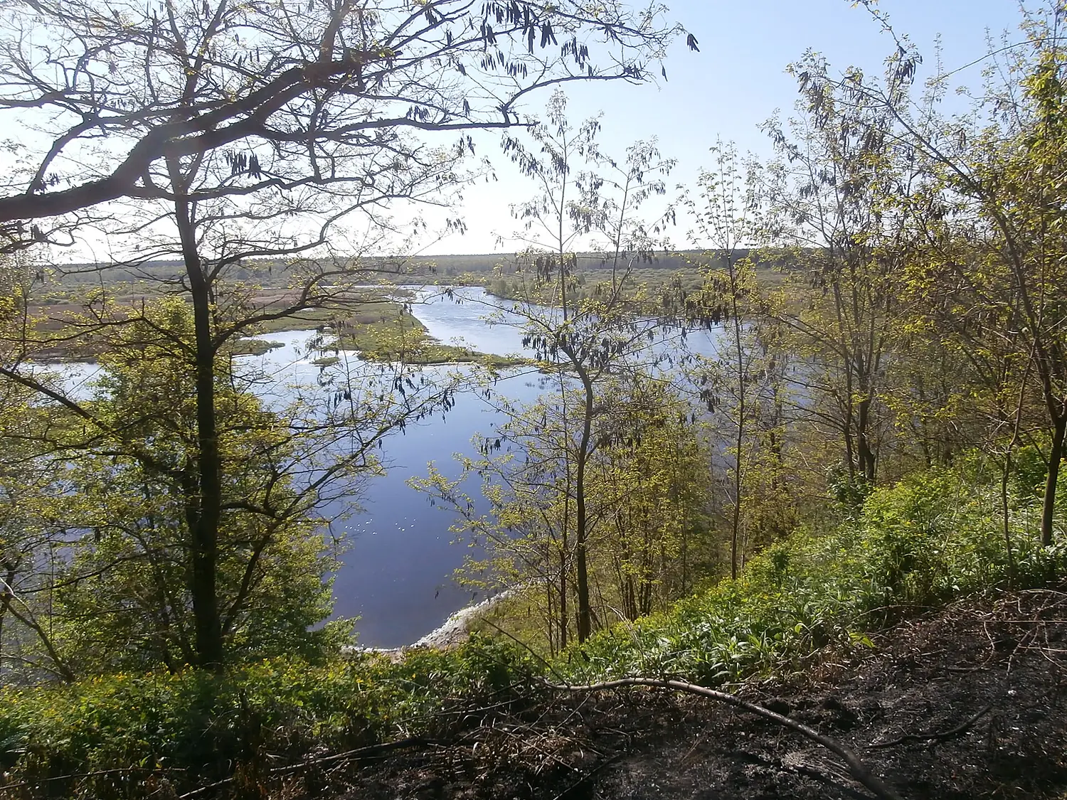 Iput River at Duby Cemetery in Dobrush 6 May 2014
