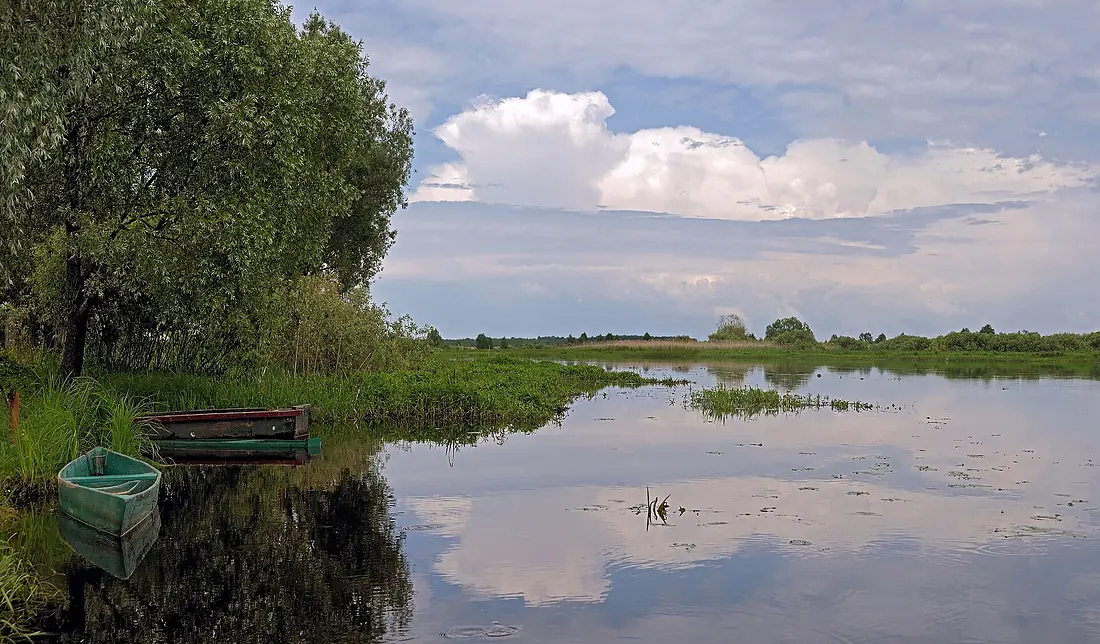 The bank of the river Iput at Dobrush Belarus