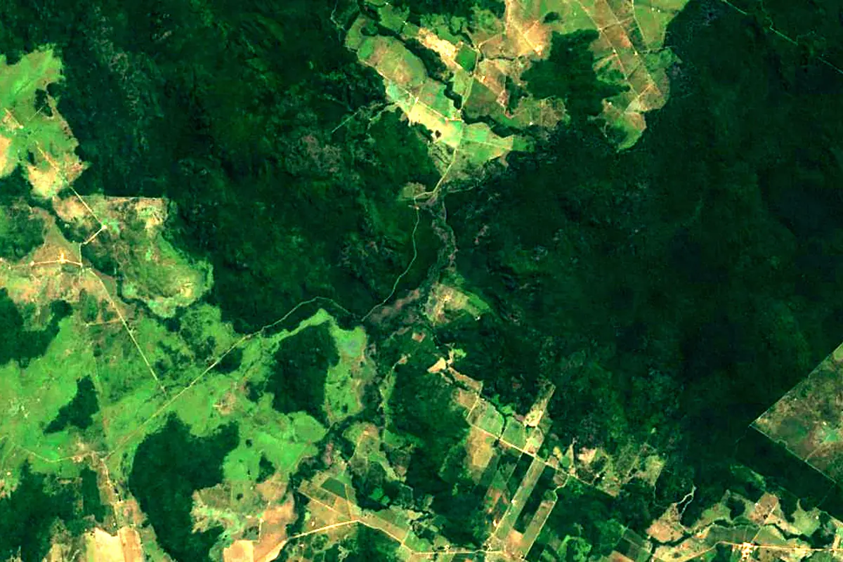 Iriri River: satellite view of the source