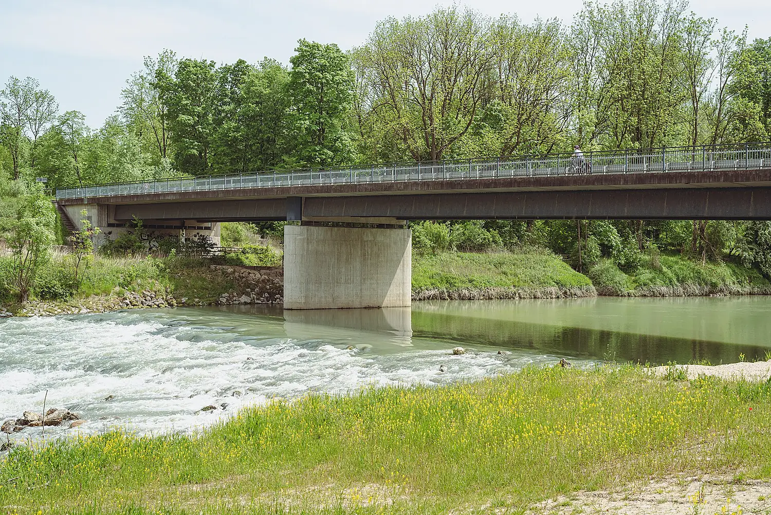 20230521 Isarbrücke Mintraching Grünec