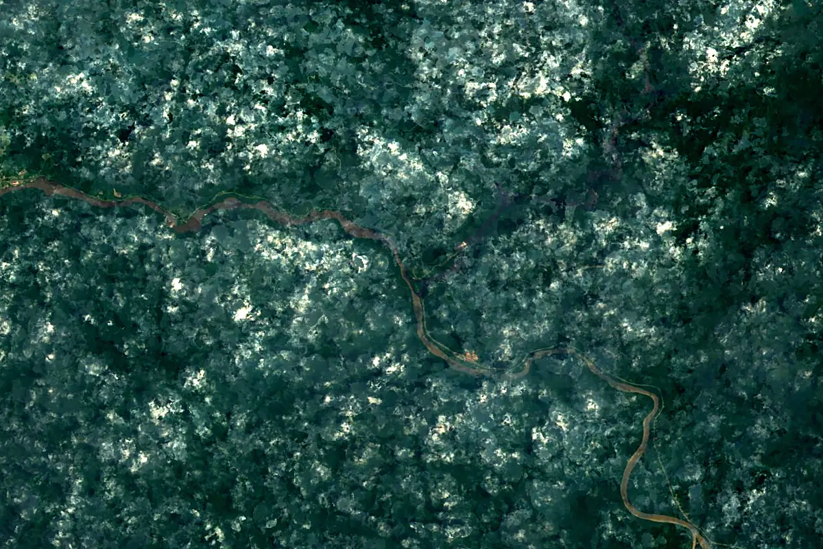 Ivindo River: satellite view of the mouth