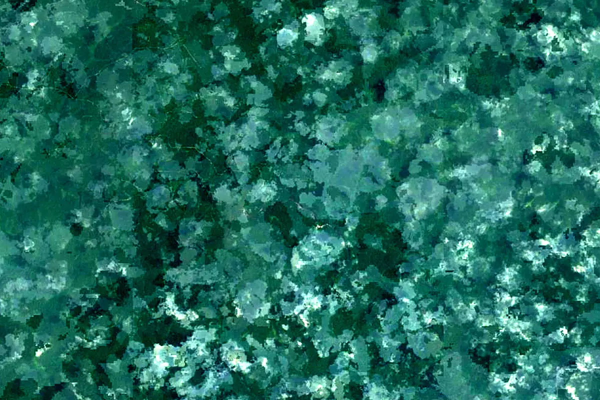 Ivindo River: satellite view of the source