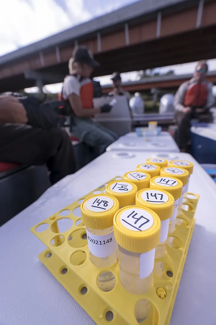Invasive Carp eDNA Sampling on the James River in South Dakota (51442450662)