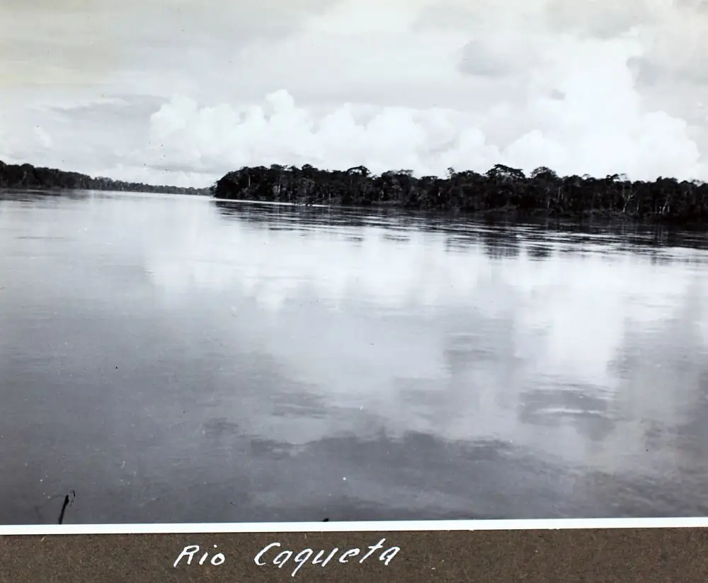 Caqueta Noble Easton