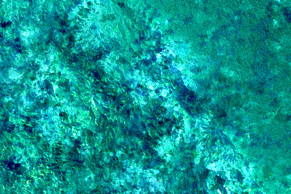 Javary River: satellite view of the source