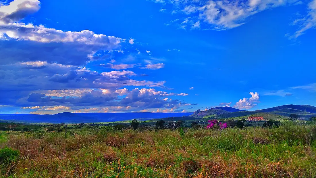 Campo, caracterizando a vegetação típica do Vale do Jequitinhonha