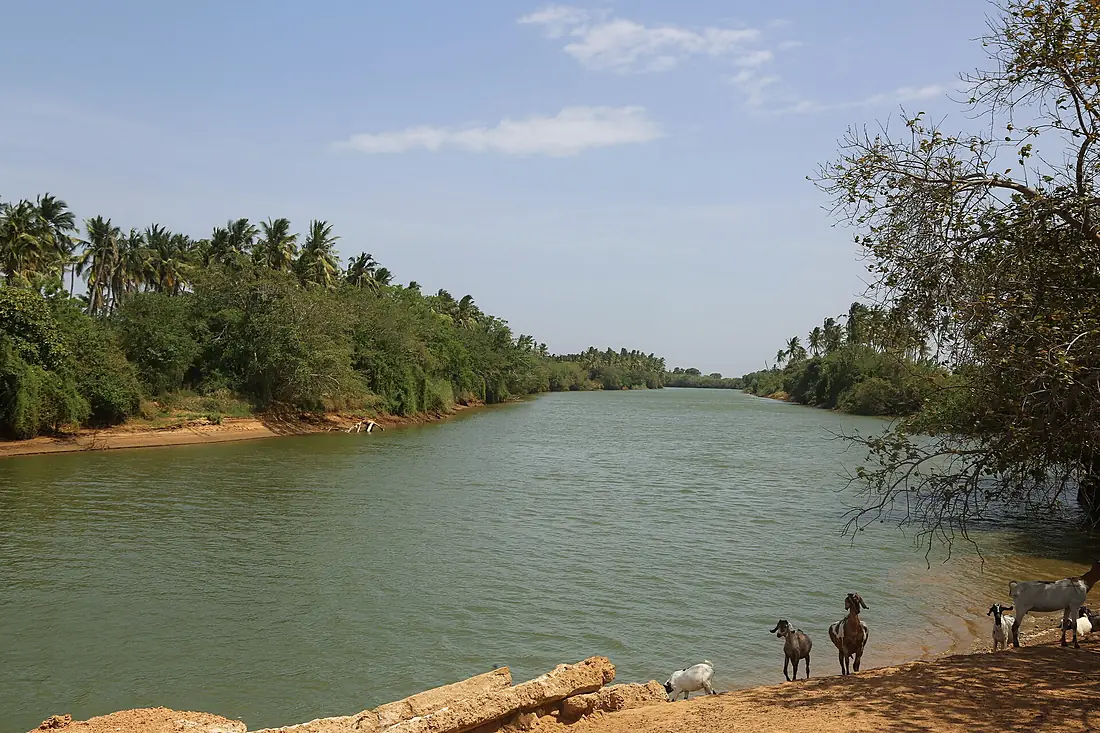 Jubba River in Goobweyn