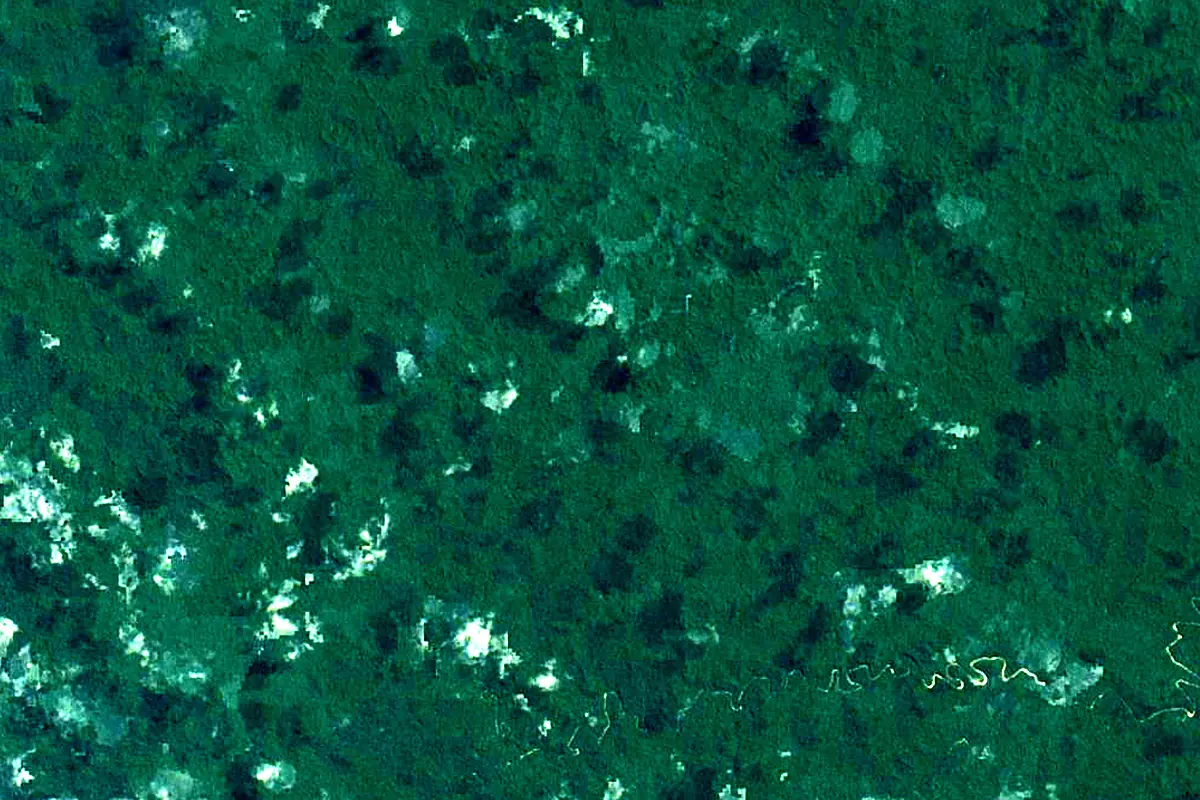 Juruá River: satellite view of the source