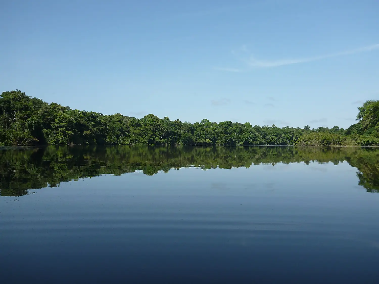 Jutaí - State of Amazonas, Brazil - panoramio (14)
