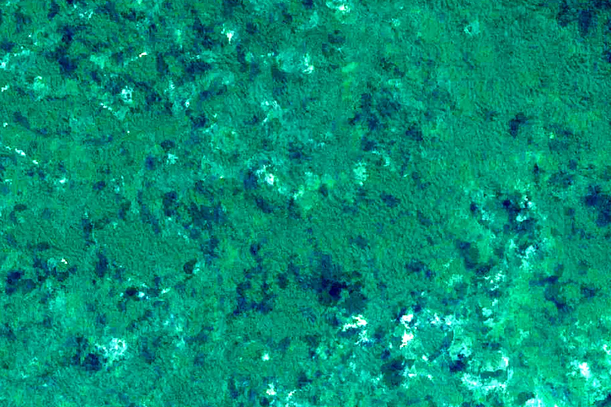 Jutai River: satellite view of the source