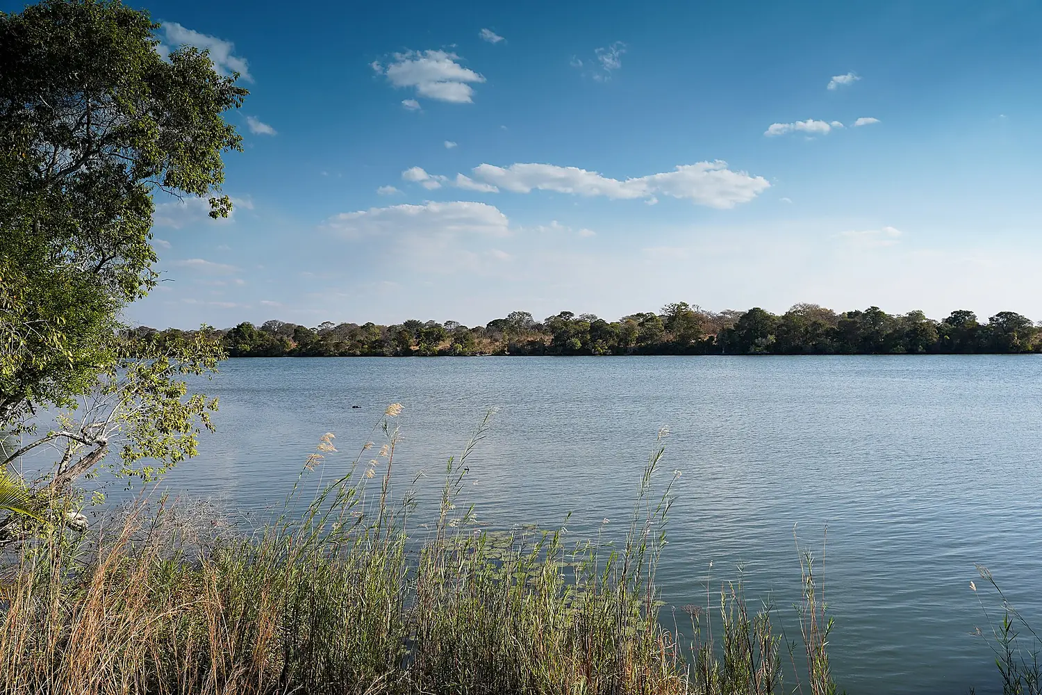Kafue River Pinnon Lodge Zambia Jul23 A7C 05318